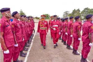 Amotekun Arrests Underage Herders, 49 Cows 