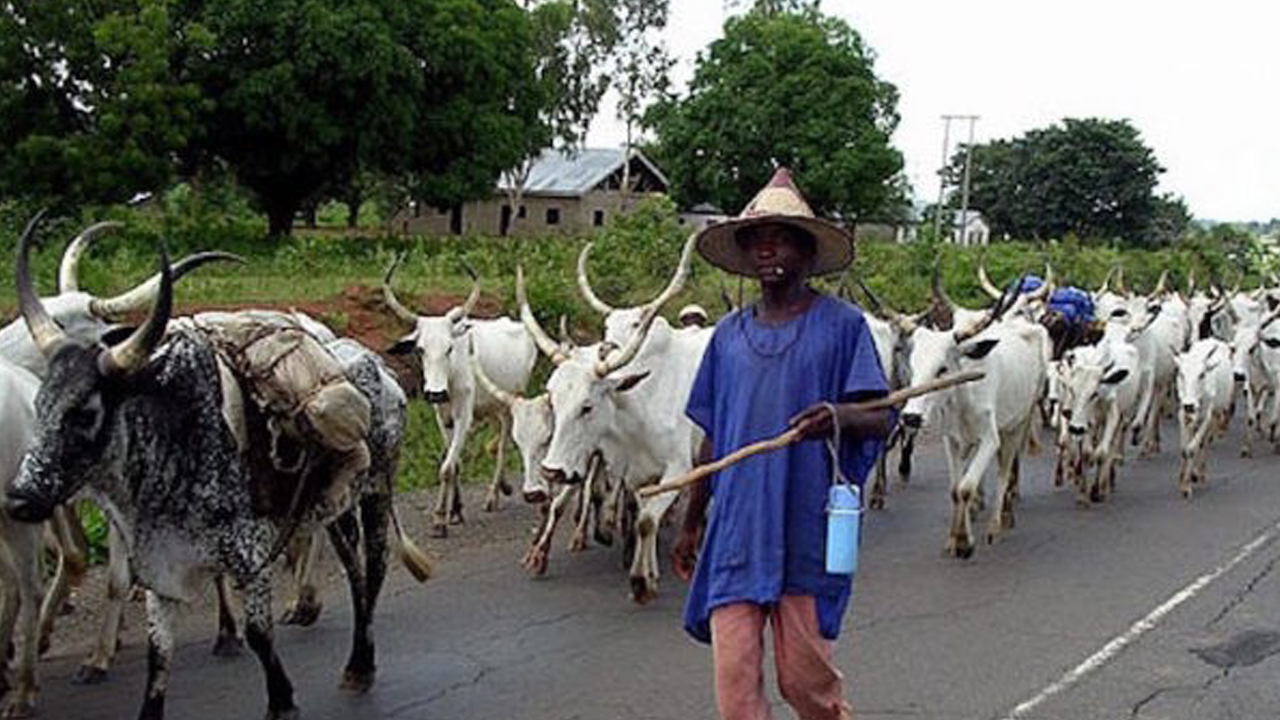Fulani Herdsmen Cry Foul Over Ill-Treatment In Anambra State